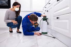 Best Fumigation Services  in Creston, IA