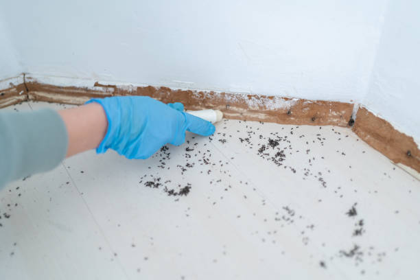 Best Termite Inspection and Treatment  in Creston, IA